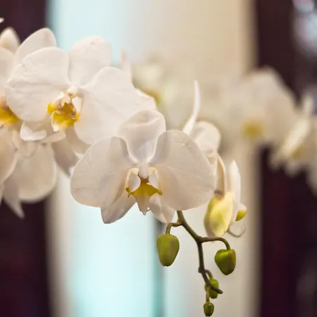 아파트 Dluga 27 *