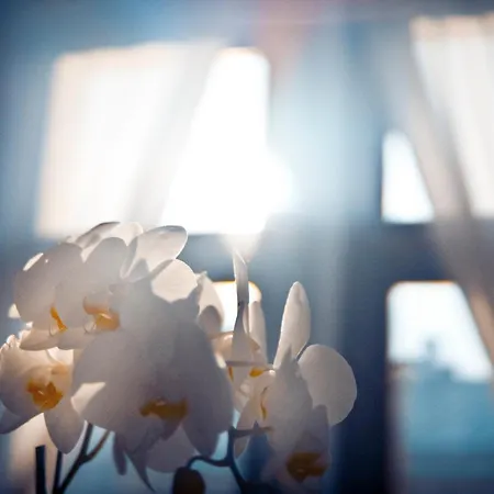 Apartment Dluga 27 *